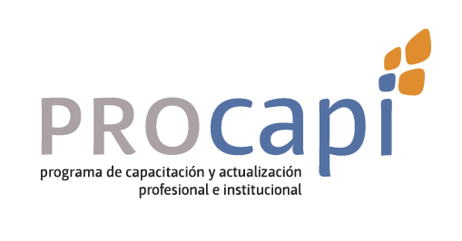 e-PROCAPI